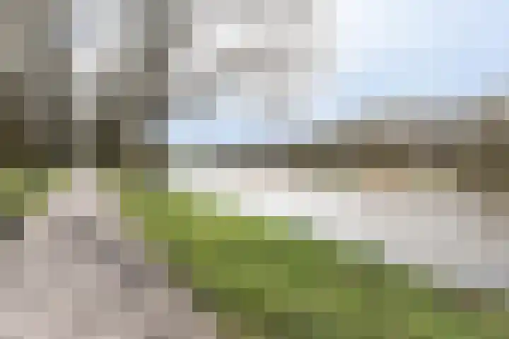 Muiderbos 184 Hoofddorp thumbnail 29