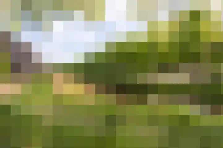 Muiderbos 194 Hoofddorp thumbnail 21