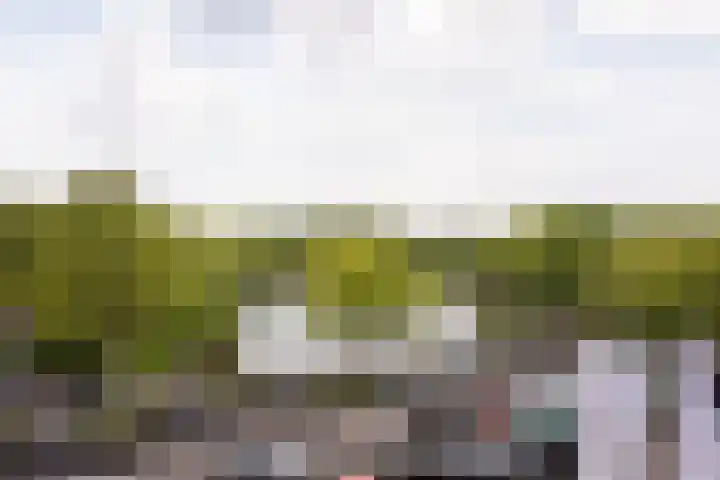 Muiderbos 194 Hoofddorp thumbnail 4