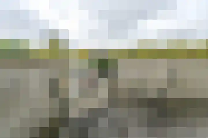 Muiderbos 198 Hoofddorp thumbnail 10