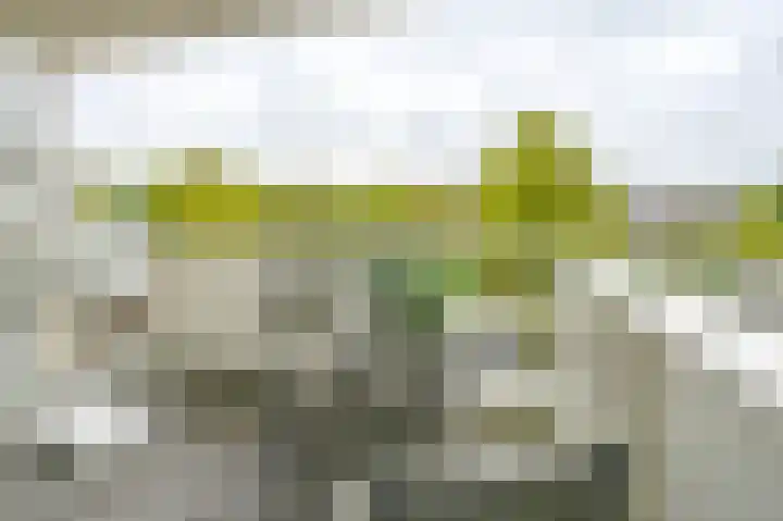Muiderbos 198 Hoofddorp thumbnail 9