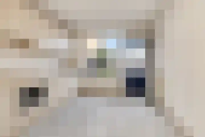 Muiderbos 33 Hoofddorp thumbnail 5