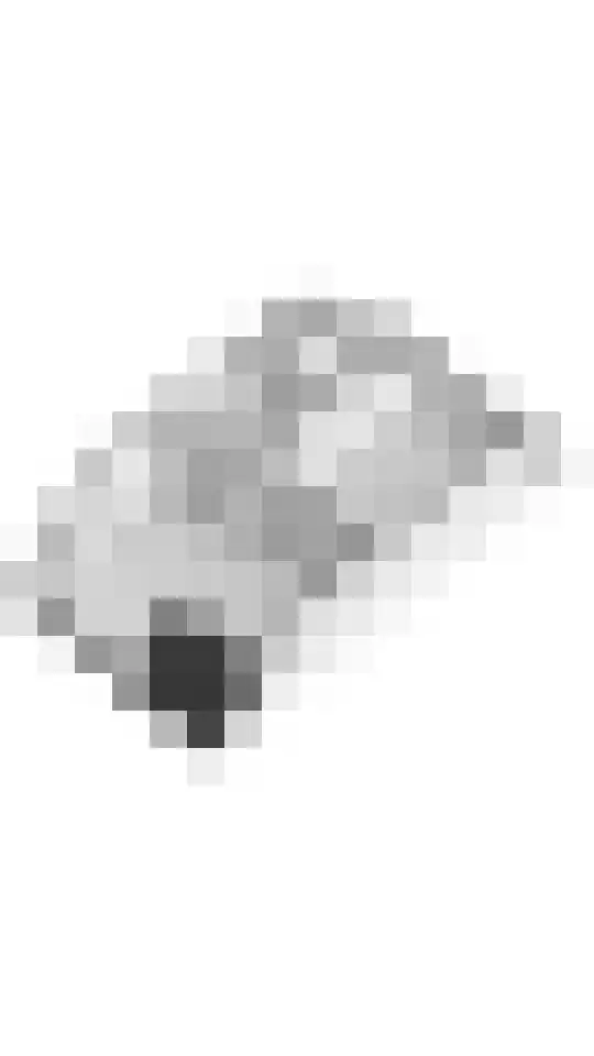 Muiderbos 51 Hoofddorp thumbnail 34