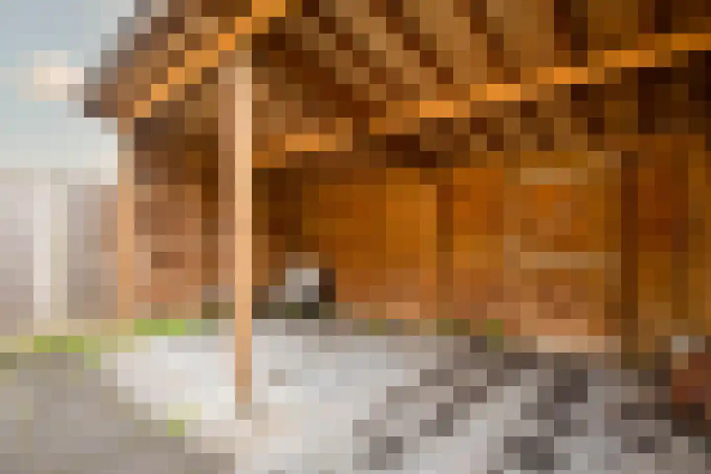 Muiderbos 51 Hoofddorp thumbnail 9
