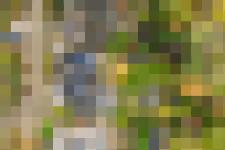 Muidergouw 14 Almere thumbnail 5