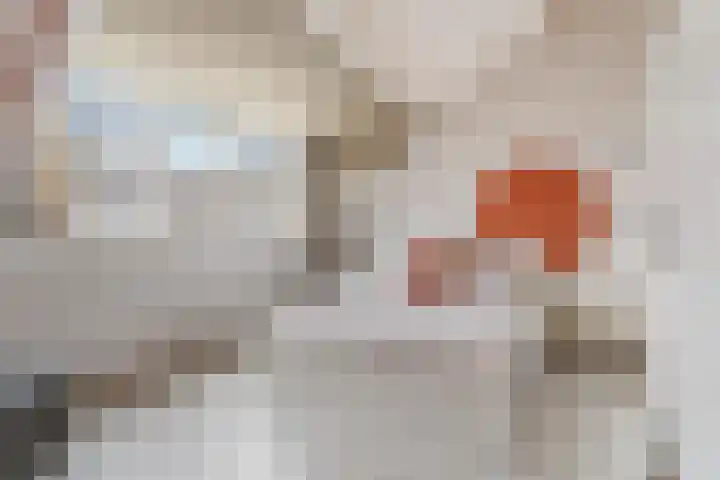 Muidergouw 14 Almere thumbnail 52
