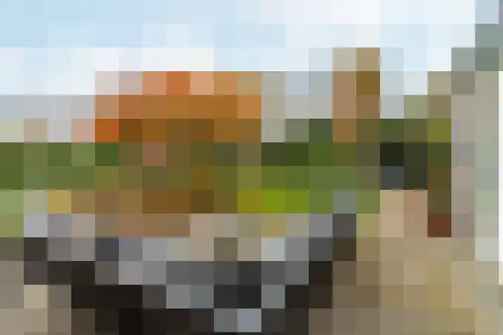 Muidergouw 14 Almere thumbnail 59