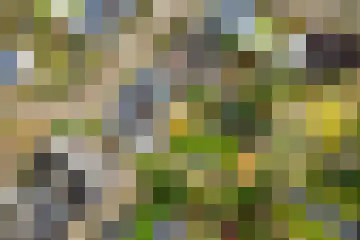 Muidergouw 14 Almere thumbnail 6