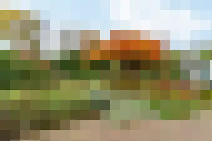 Muidergouw 14 Almere thumbnail 60