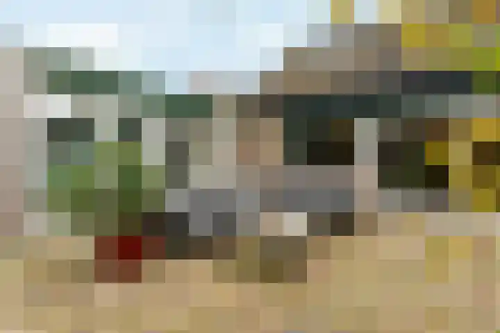 Muidergouw 14 Almere thumbnail 61