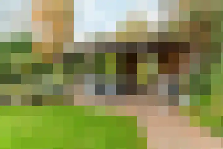 Muidergouw 14 Almere thumbnail 62