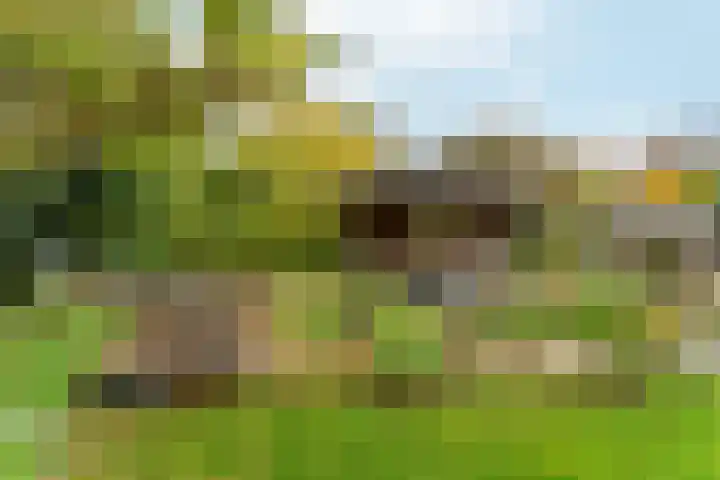 Muidergouw 14 Almere thumbnail 63