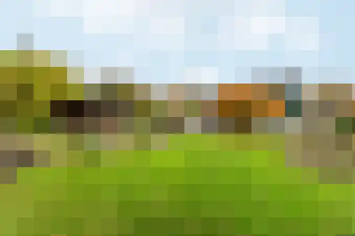 Muidergouw 14 Almere thumbnail 64