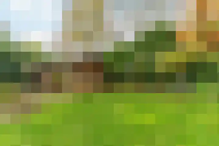 Muidergouw 14 Almere thumbnail 66