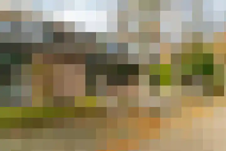 Muidergouw 14 Almere thumbnail 70