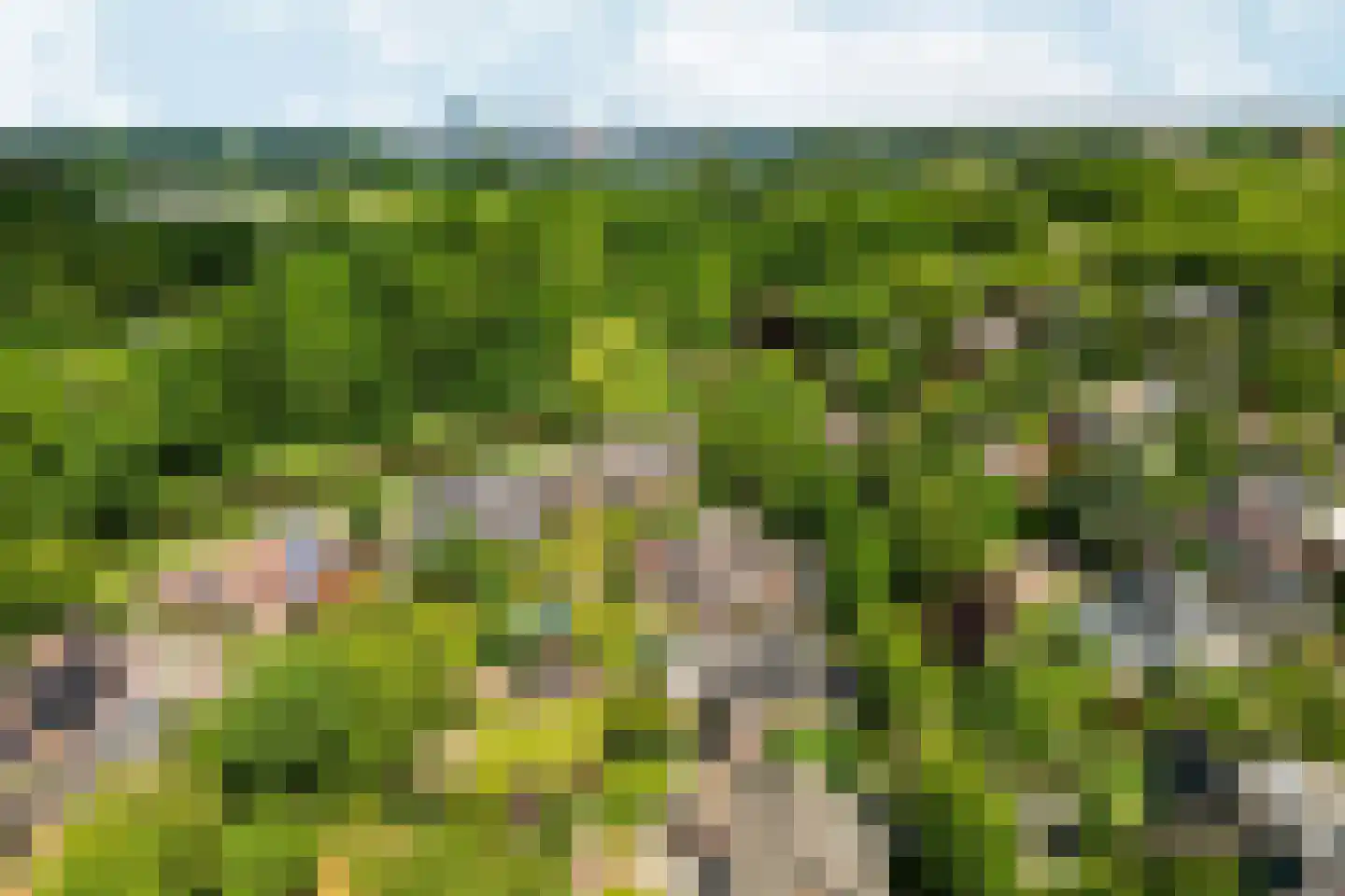 Muidergouw 15 Almere thumbnail 16