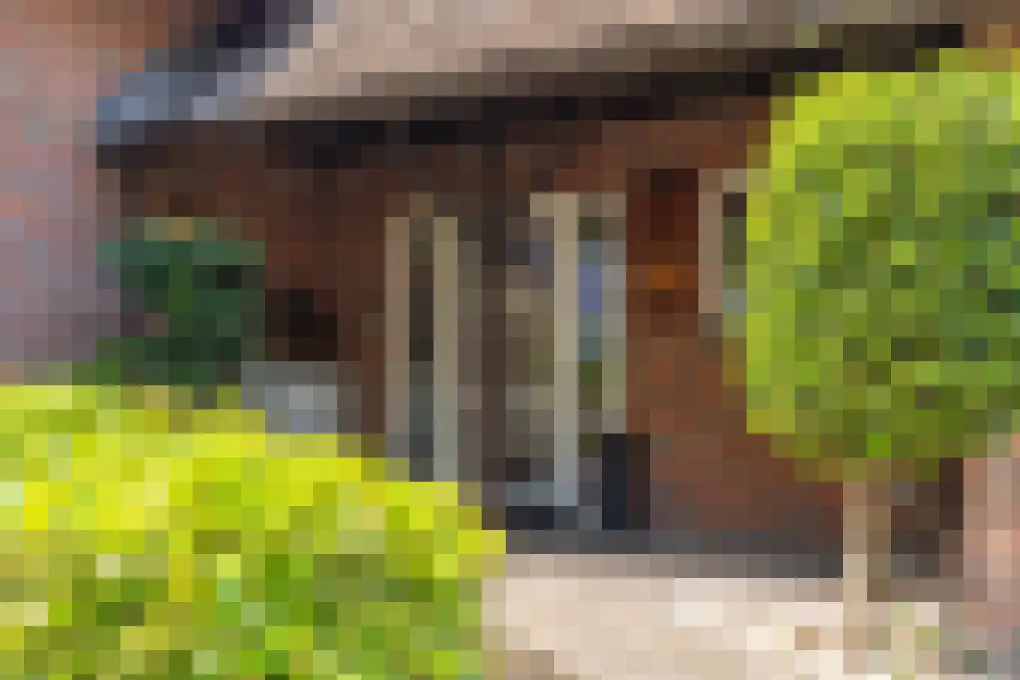 Muidergouw 15 Almere thumbnail 20