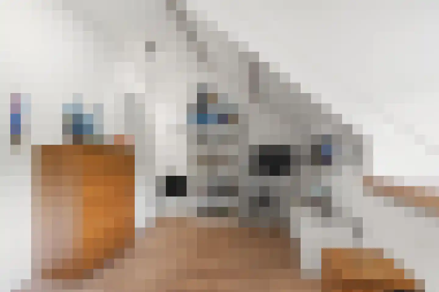 Muidergouw 15 Almere thumbnail 55