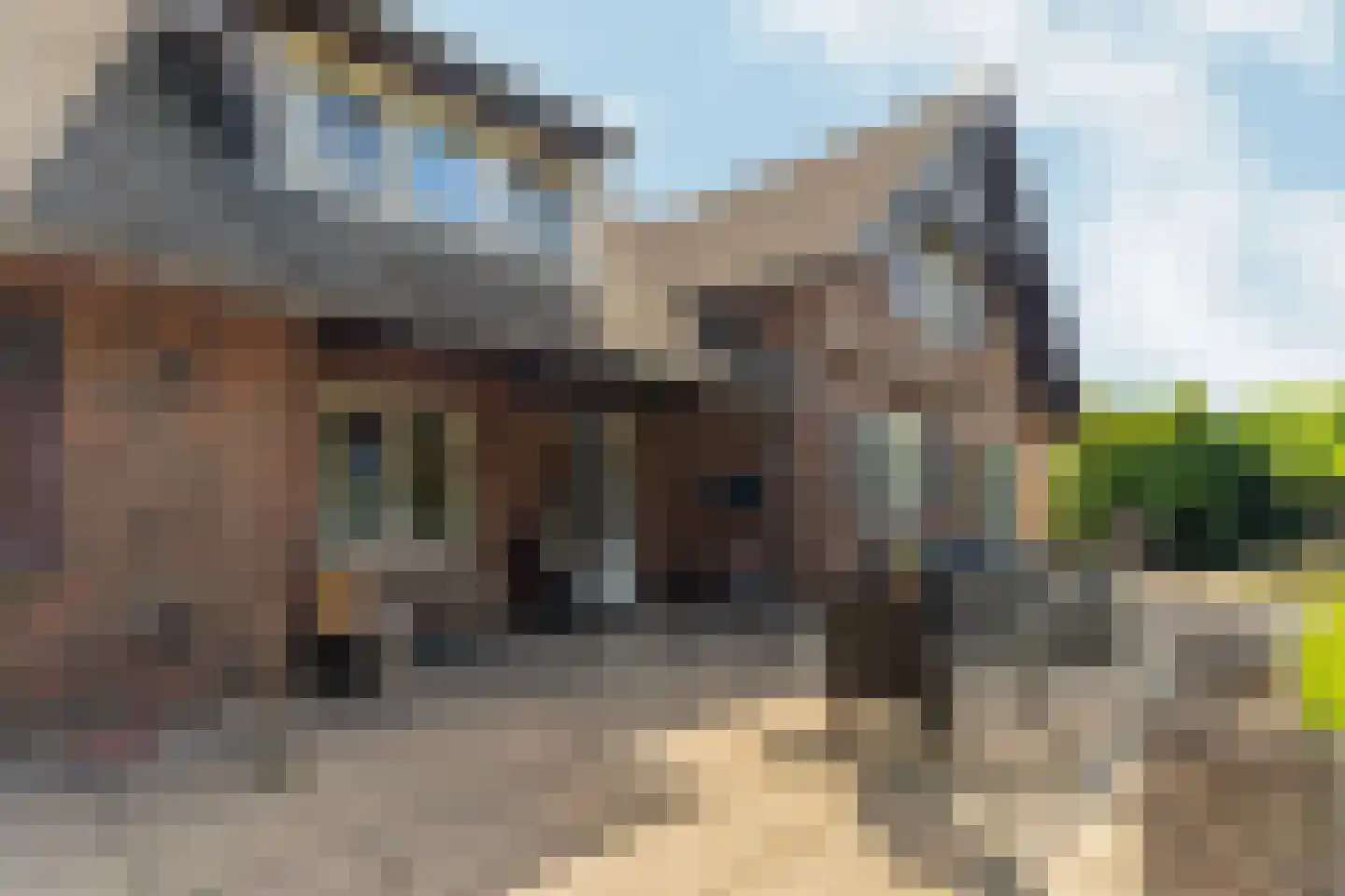 Muidergouw 15 Almere thumbnail 68