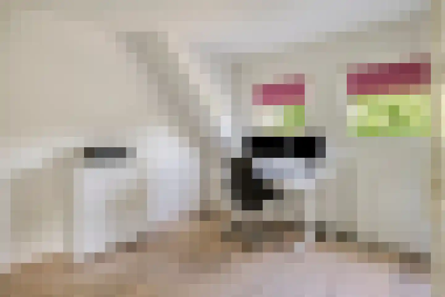 Muidergouw 23 Almere thumbnail 30