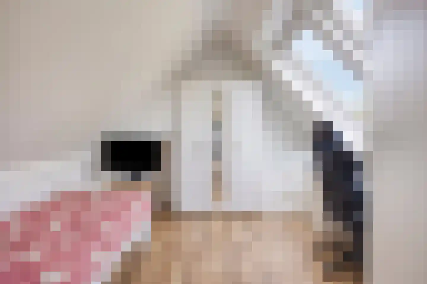 Muidergouw 23 Almere thumbnail 33