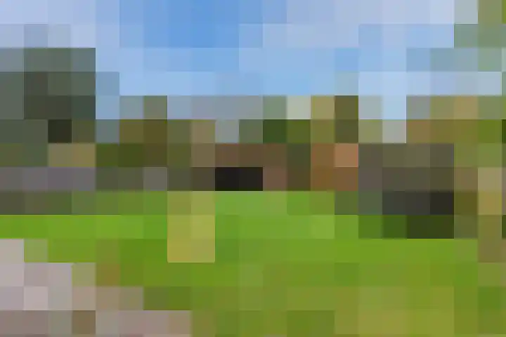 Muidergouw 25 Almere thumbnail 15