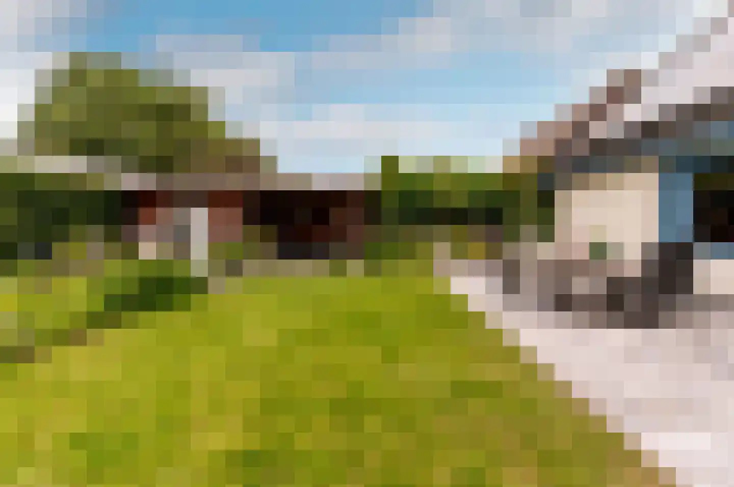 Muidergouw 50 Almere thumbnail 40