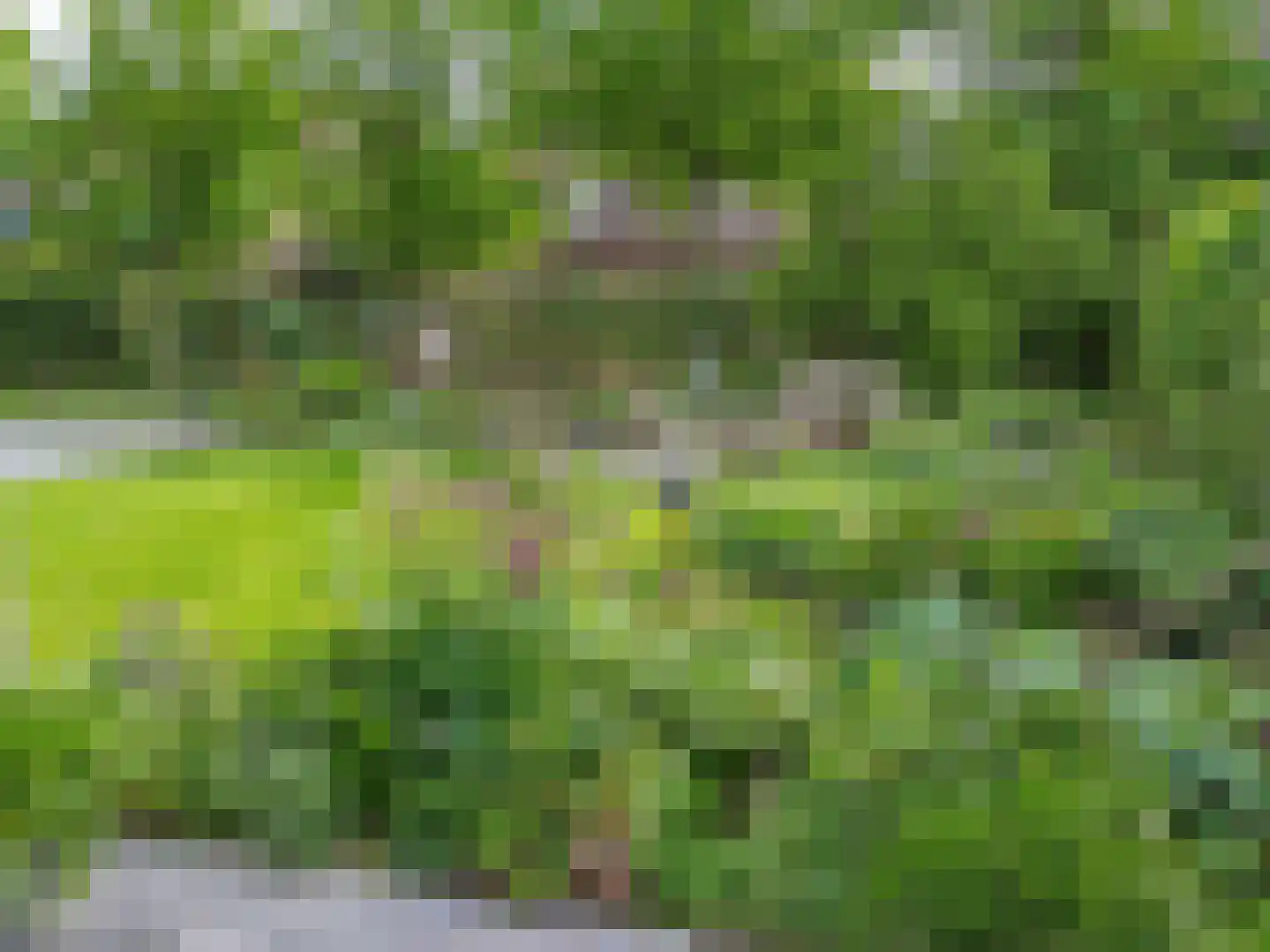 Muidergouw 50 Almere thumbnail 41