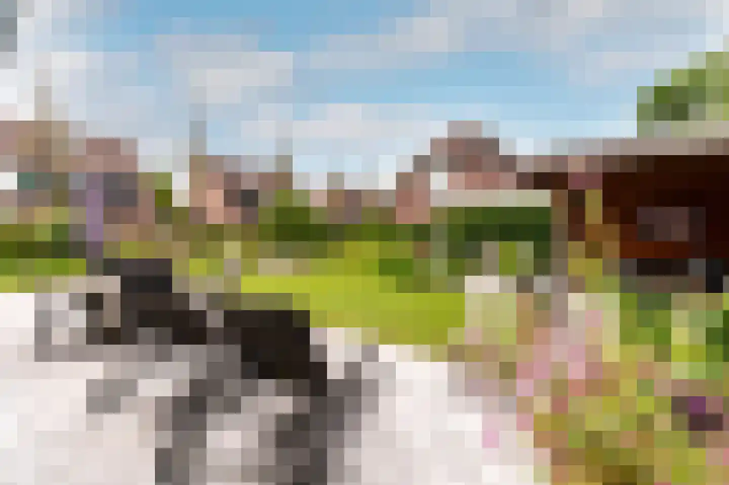 Muidergouw 50 Almere thumbnail 42