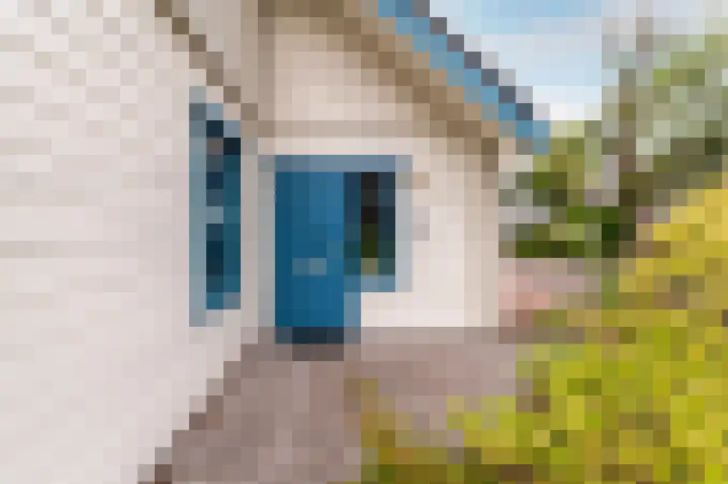 Muidergouw 50 Almere thumbnail 8