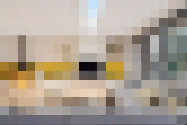 Muidergouw 57 Almere thumbnail 22