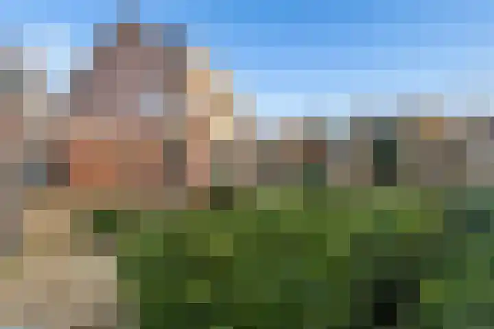 Muidergouw 67 Almere thumbnail 26