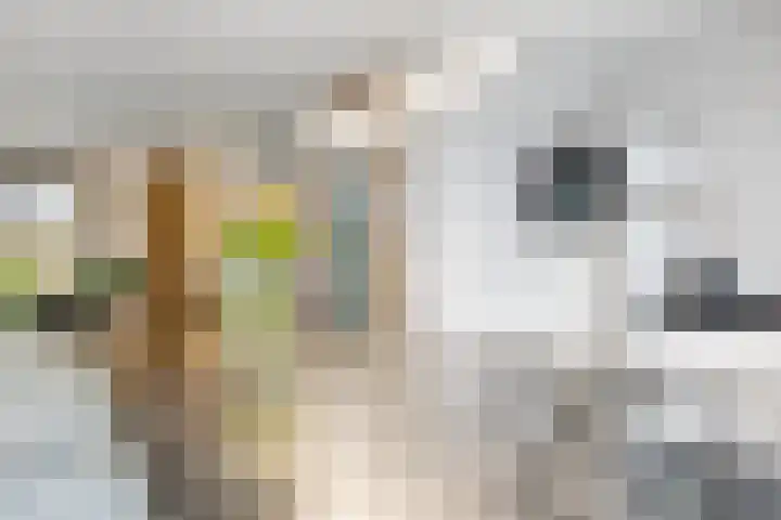 Muidergouw 67 Almere thumbnail 36