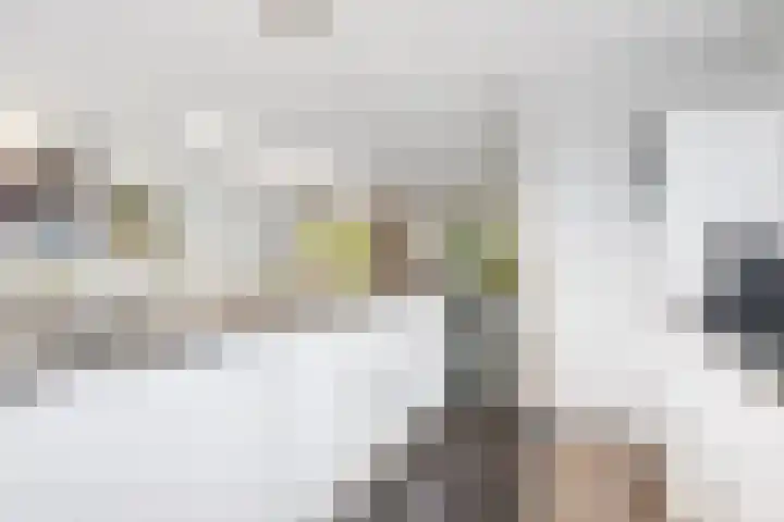 Muidergouw 67 Almere thumbnail 37