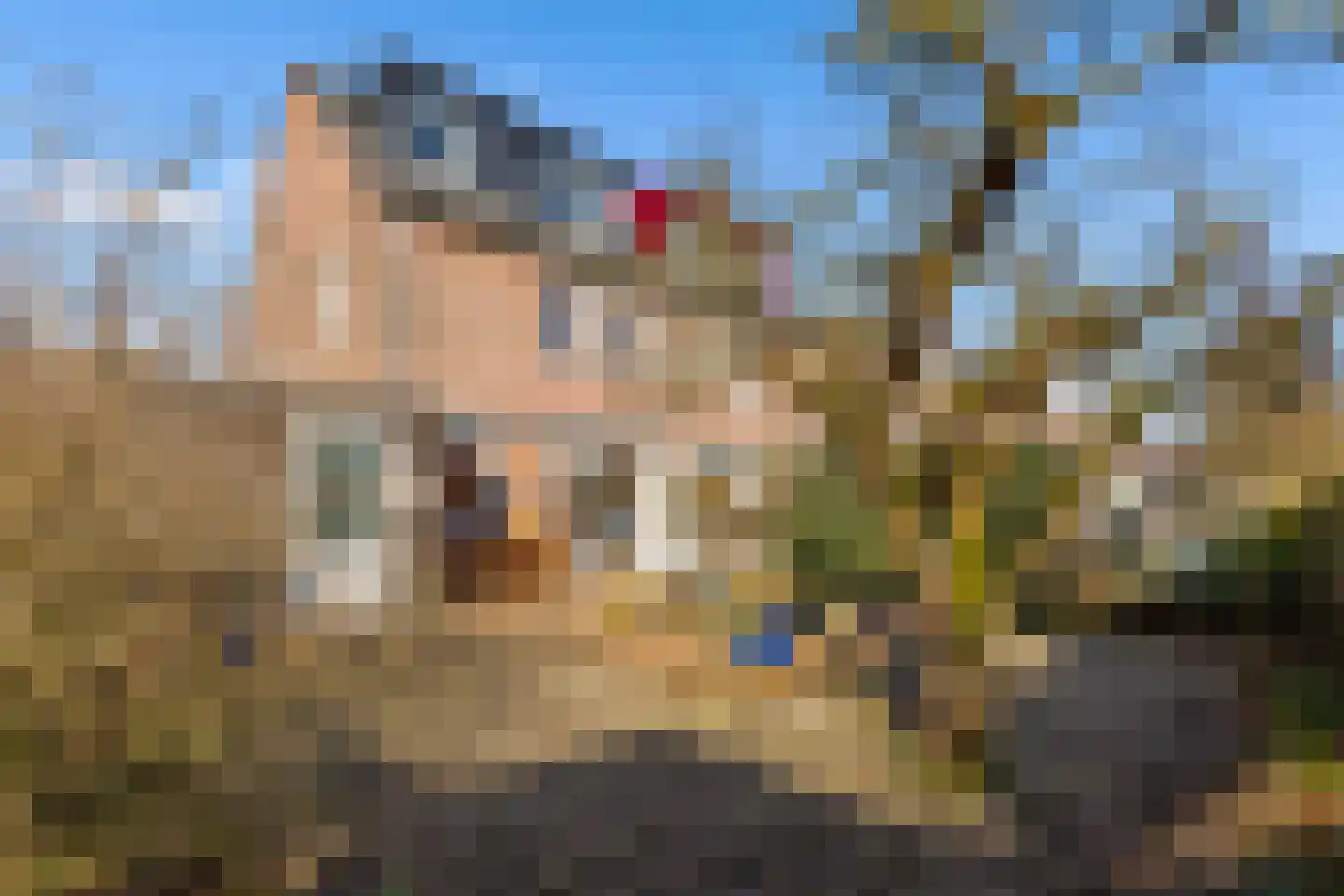 Muidergouw 79 Almere thumbnail 45