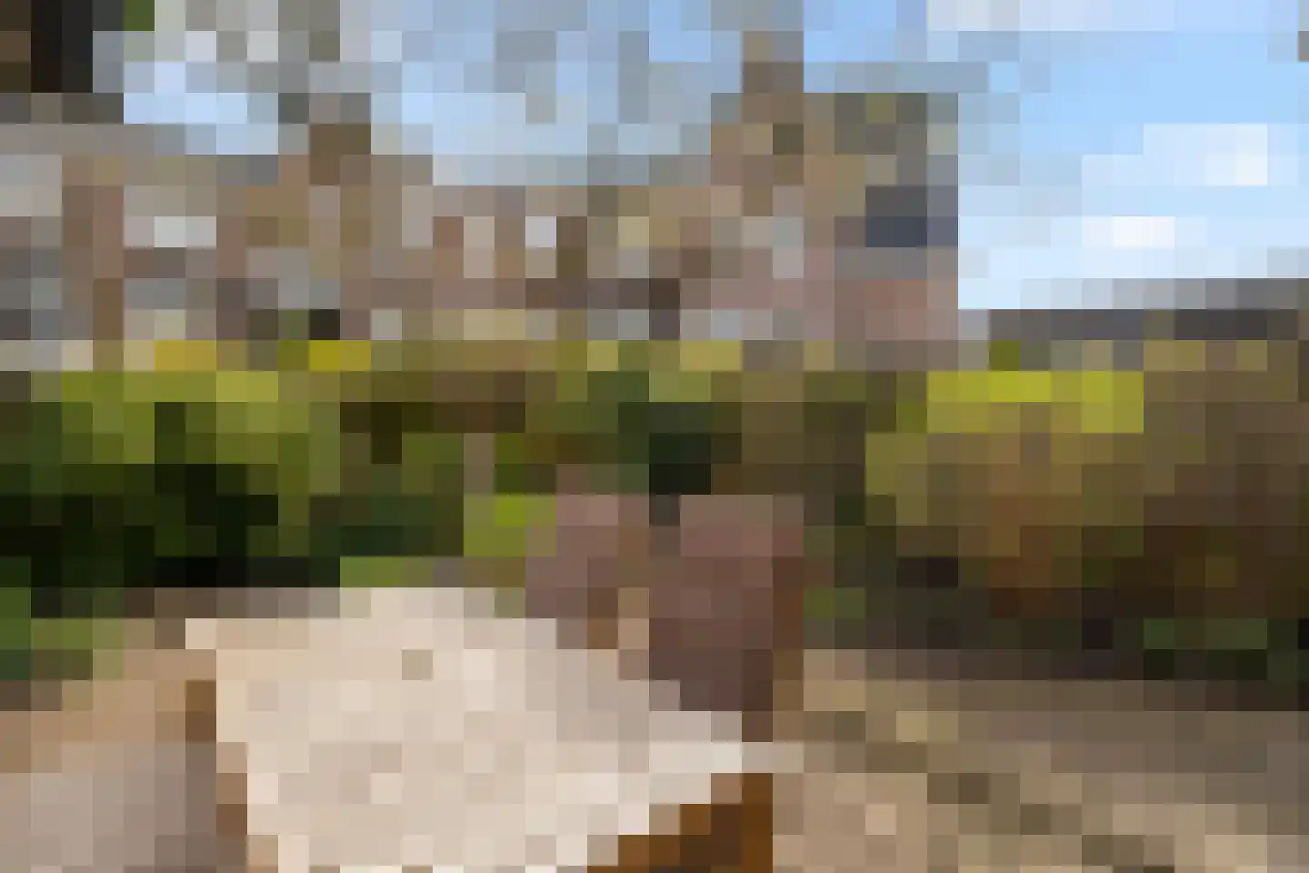 Muiderhof 4 Weesp thumbnail 13