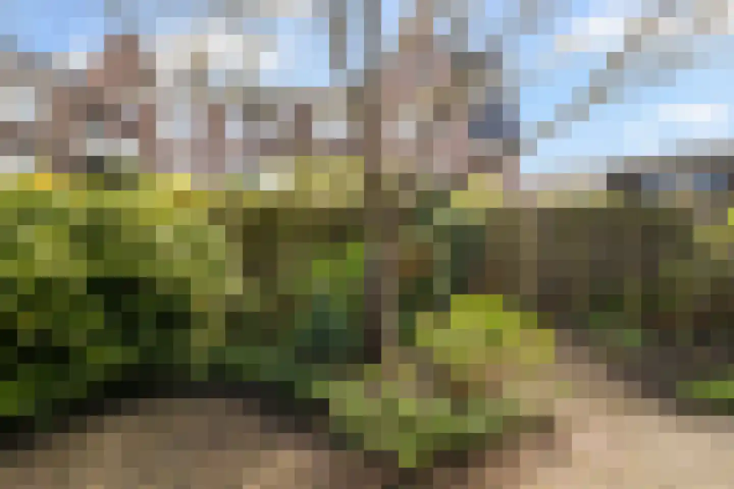 Muiderhof 4 Weesp thumbnail 14