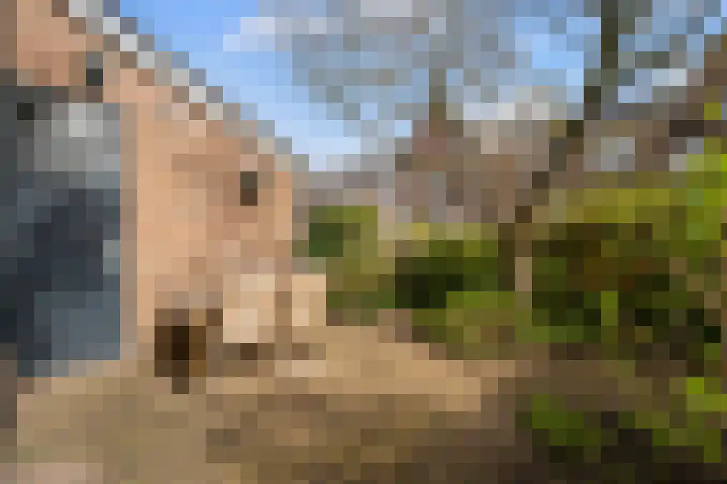 Muiderhof 4 Weesp thumbnail 16