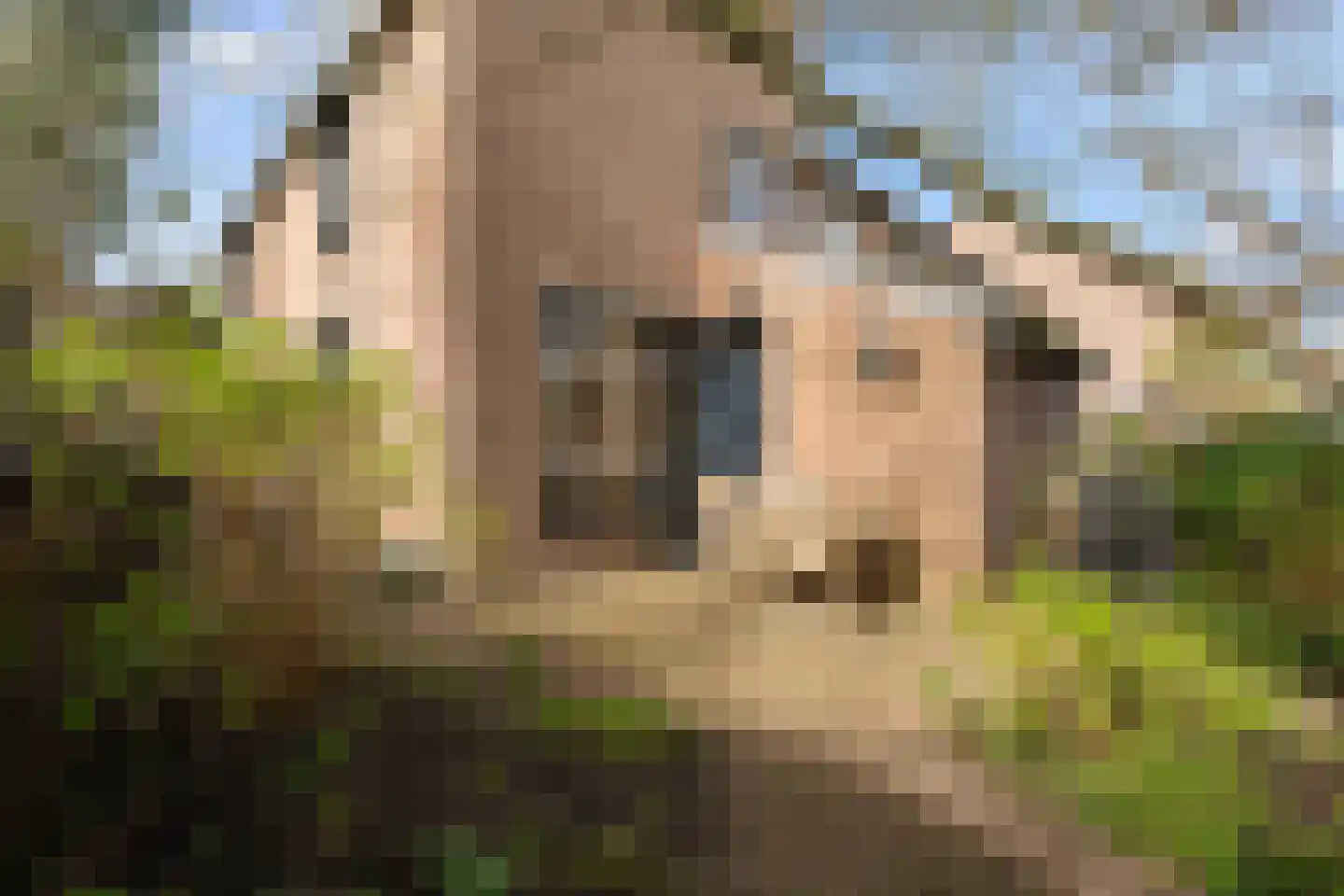 Muiderhof 4 Weesp thumbnail 17