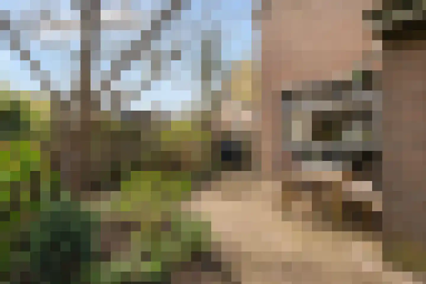 Muiderhof 4 Weesp thumbnail 18