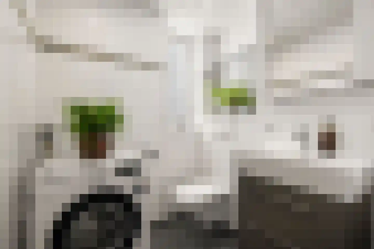 Muiderhof 4 Weesp thumbnail 26