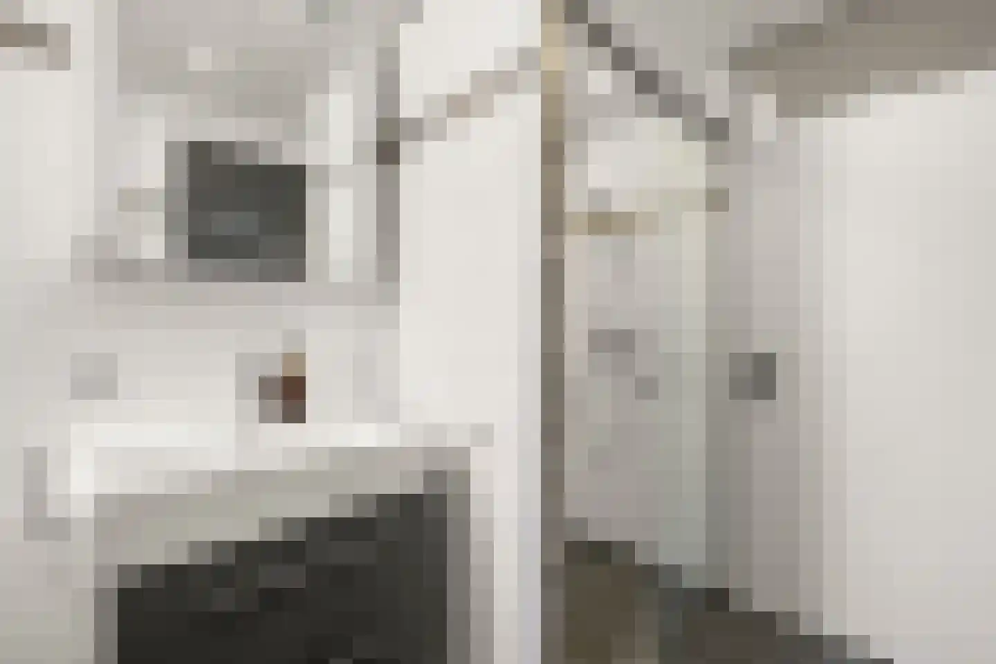 Muiderhof 4 Weesp thumbnail 27