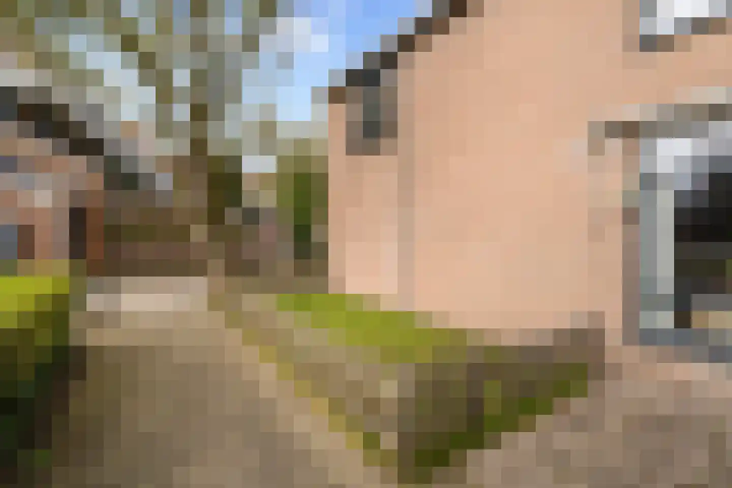 Muiderhof 4 Weesp thumbnail 37