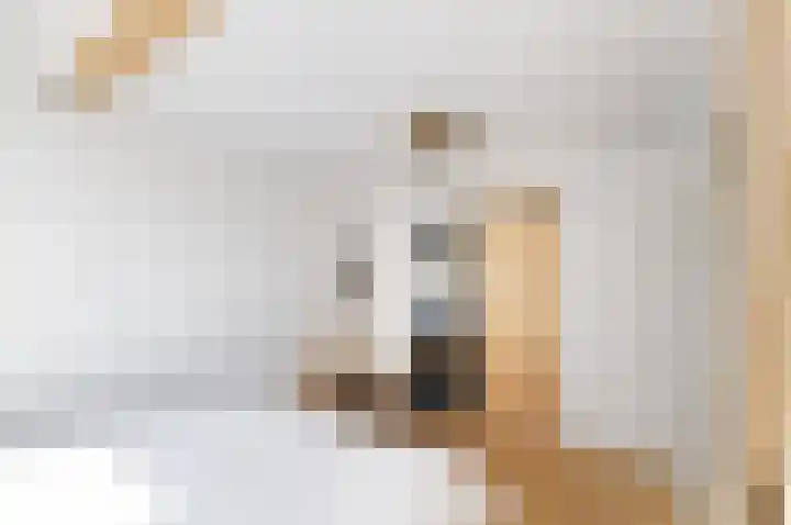 Muiderkring 1 Muiden thumbnail 16