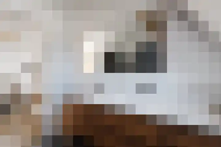Muiderkring 1 Muiden thumbnail 17