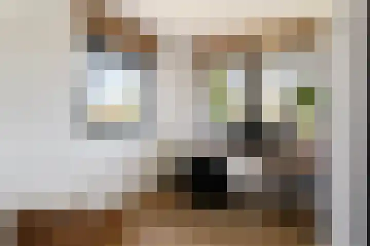 Muiderkring 1 Muiden thumbnail 5