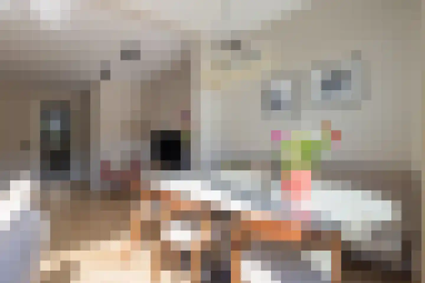 Muiderkring 6 Muiden thumbnail 22