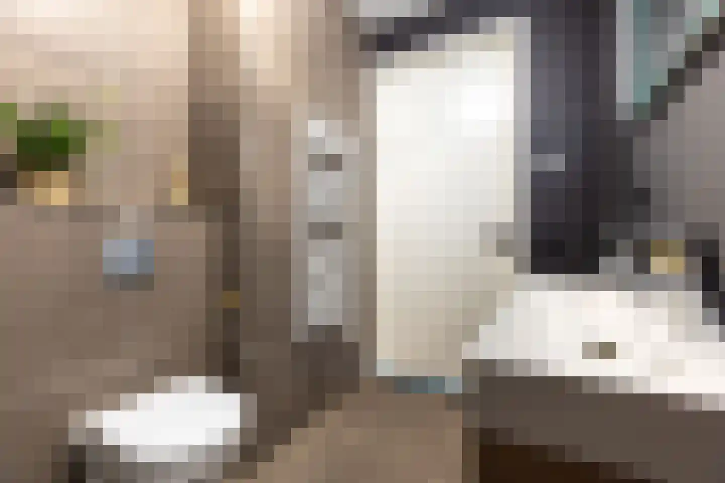 Muiderkring 6 Muiden thumbnail 37