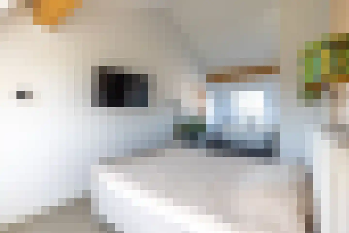 Muiderkring 6 Muiden thumbnail 47