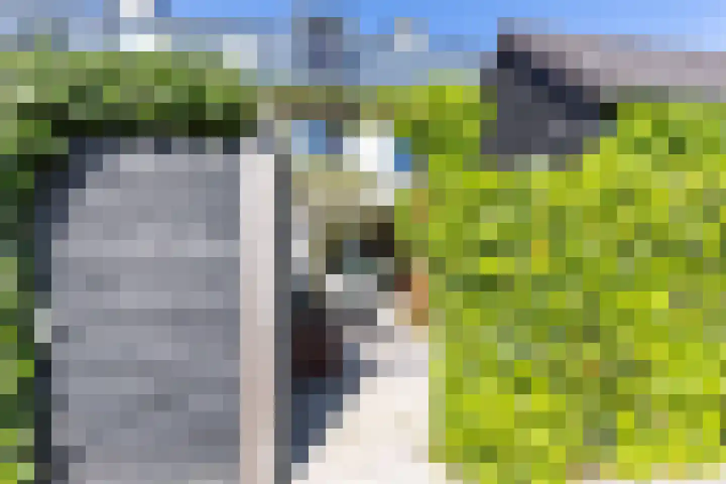 Muiderkring 6 Muiden thumbnail 8